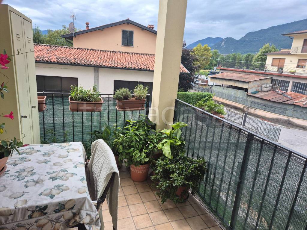 immagine annuncio 4 di 9