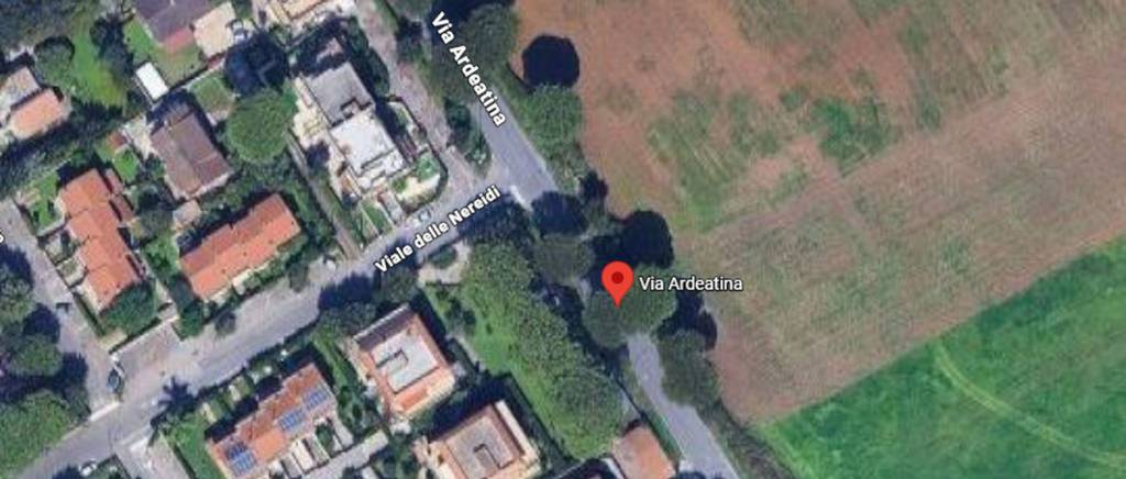 immagine annuncio 3 di 12