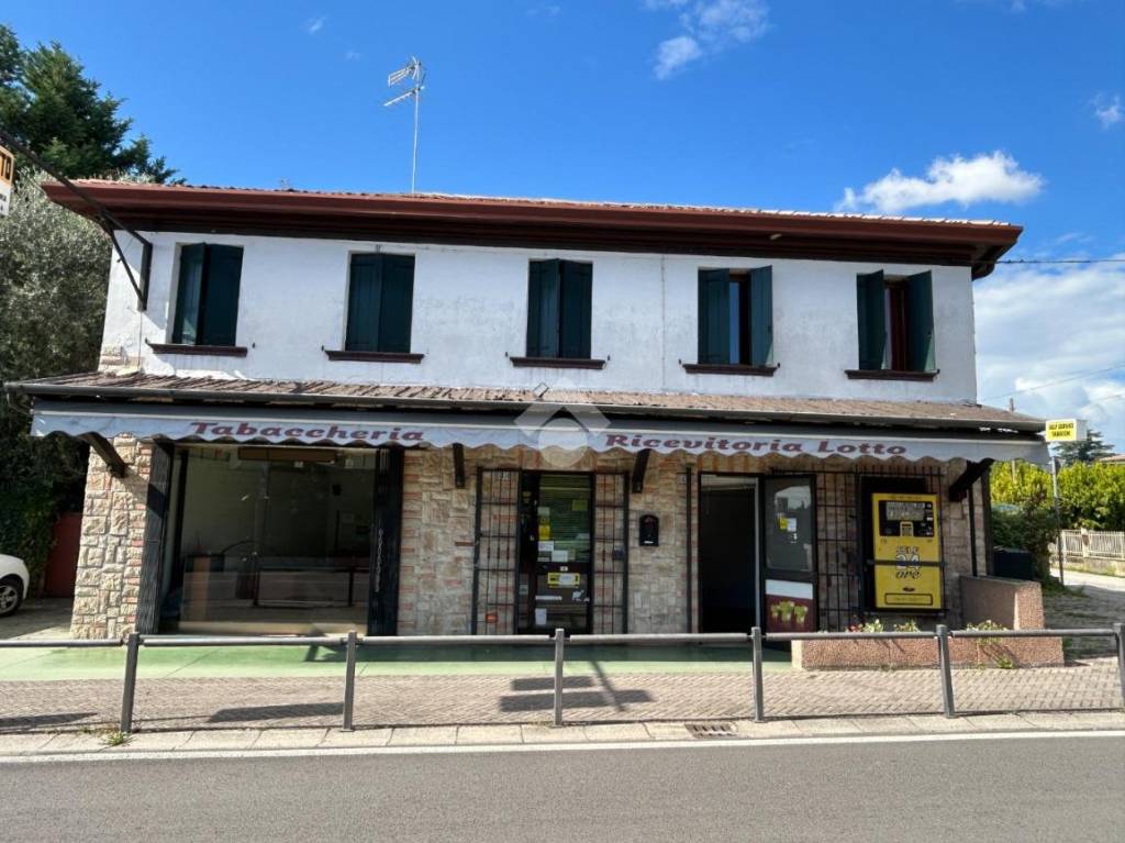immagine annuncio 1 di 14