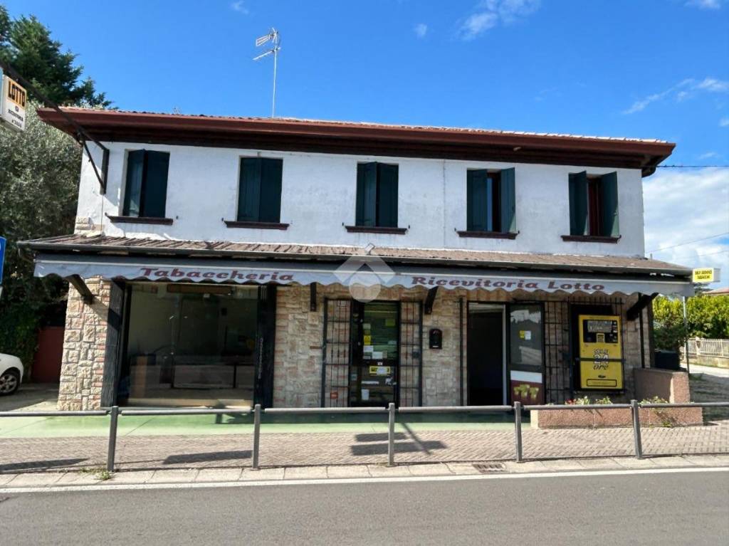 immagine annuncio 2 di 14