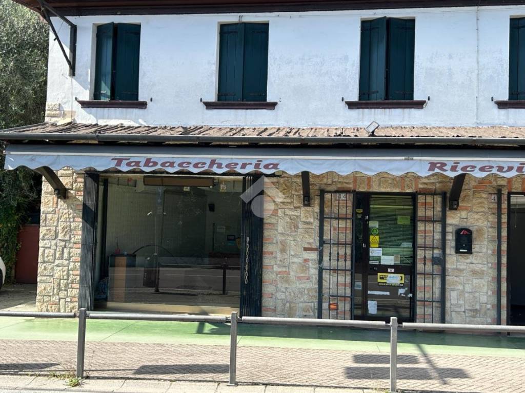 immagine annuncio 3 di 14