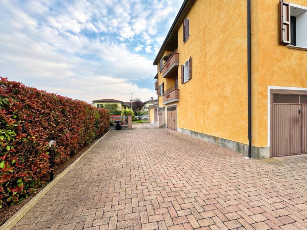 immagine annuncio 10 di 15