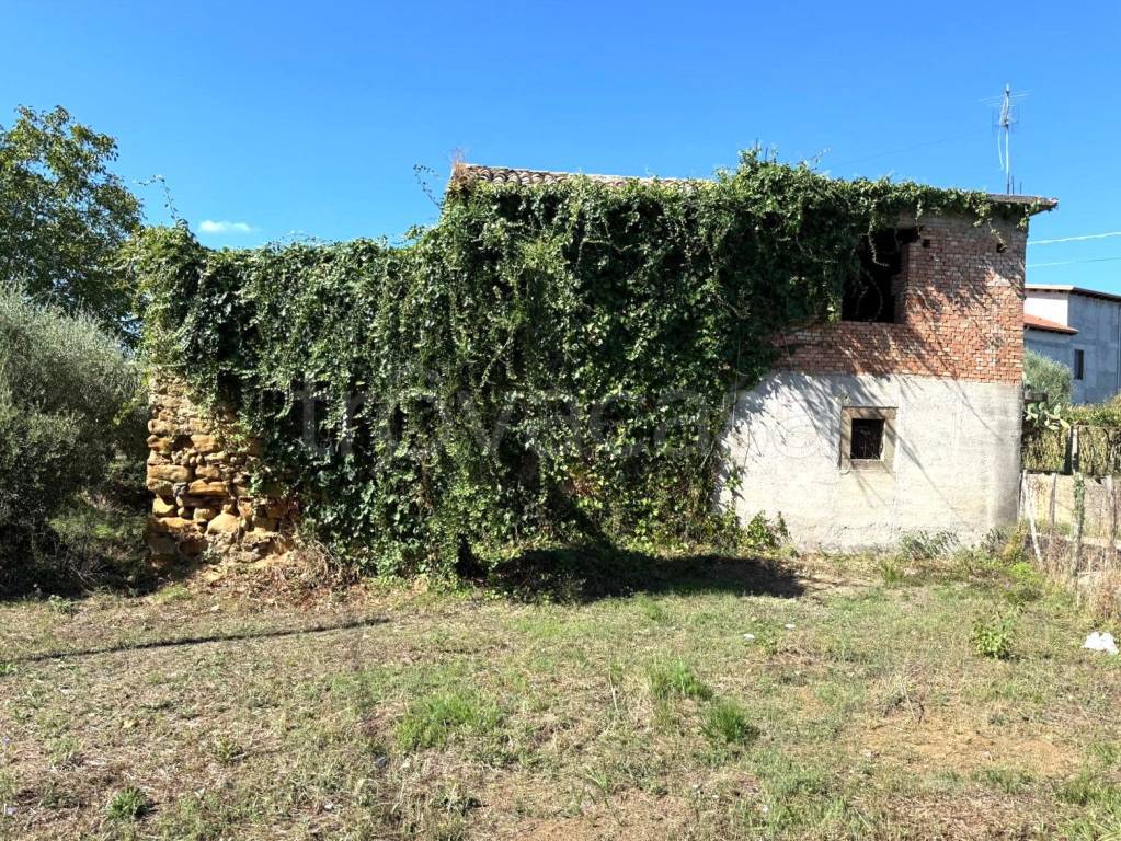 immagine annuncio 1 di 6