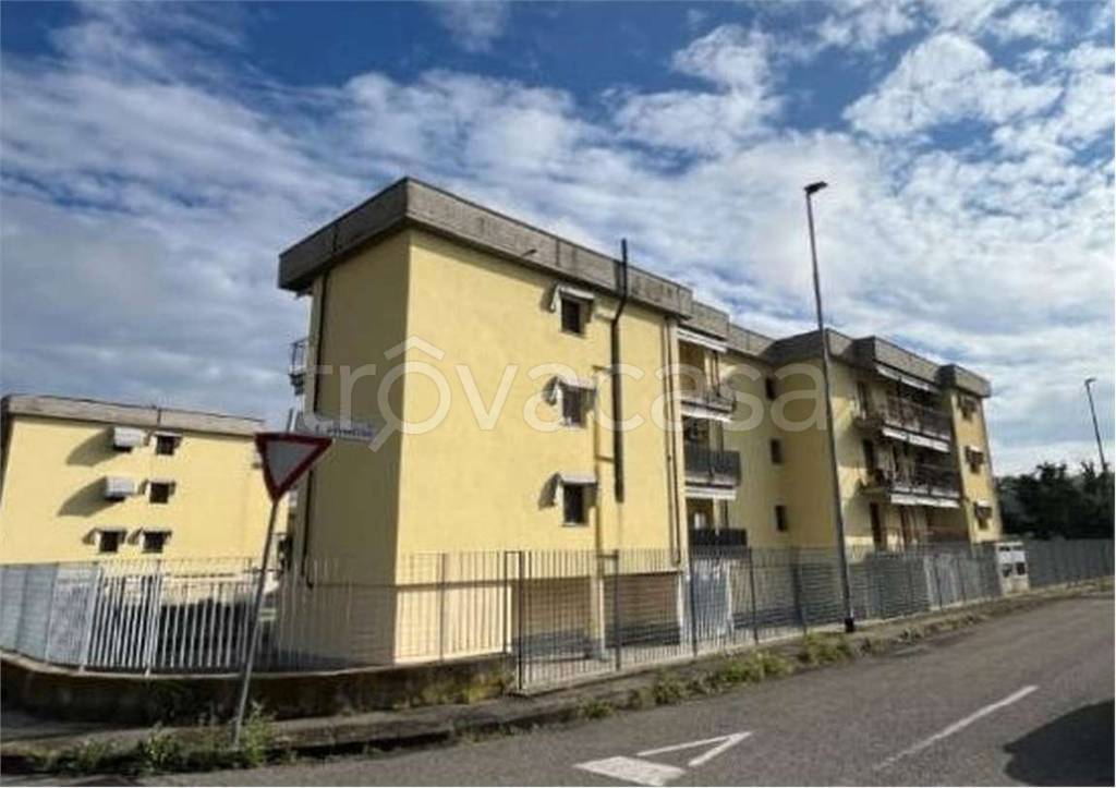 immagine annuncio 2 di 14