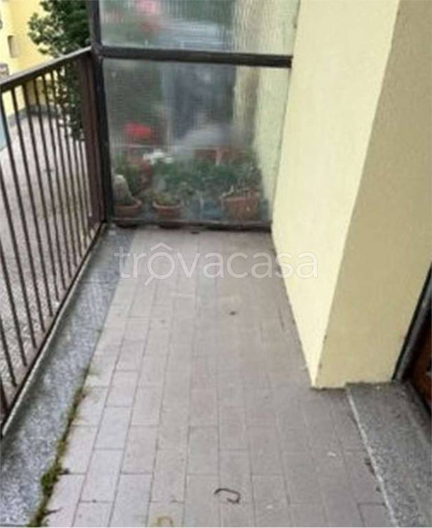 immagine annuncio 6 di 14