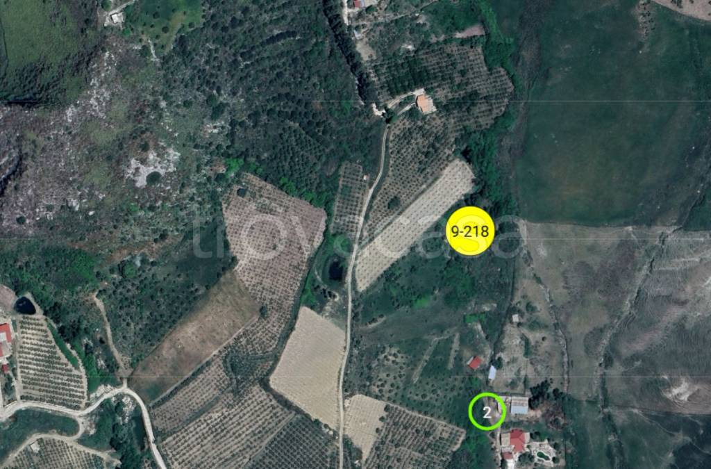 immagine annuncio 3 di 11