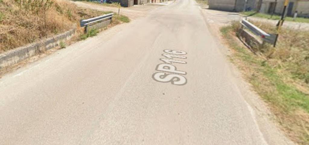 immagine annuncio 1 di 12