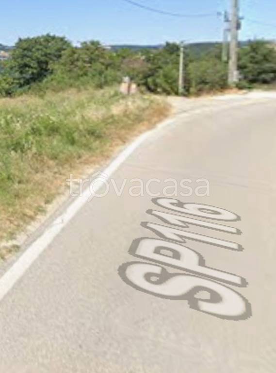 immagine annuncio 8 di 12