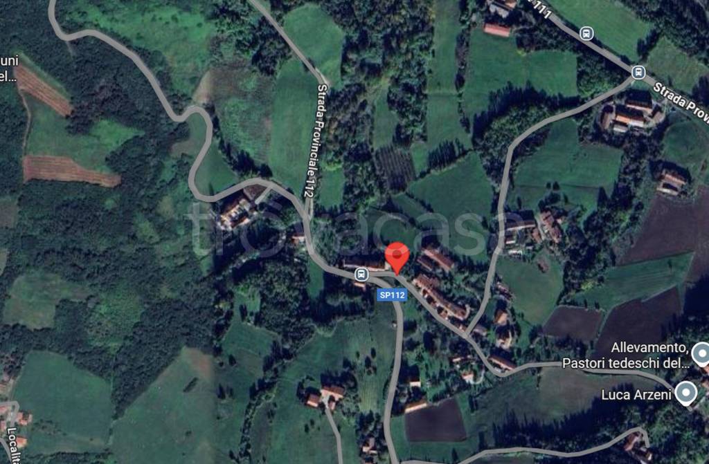 immagine annuncio 2 di 12