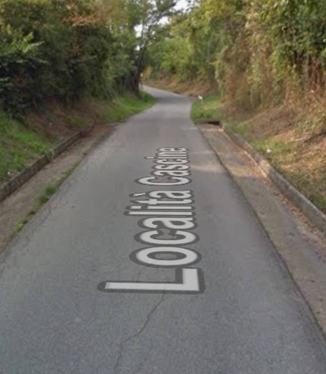 immagine annuncio 8 di 12