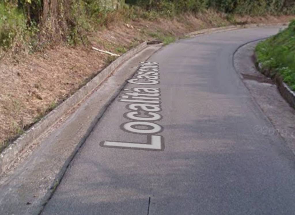 immagine annuncio 10 di 12