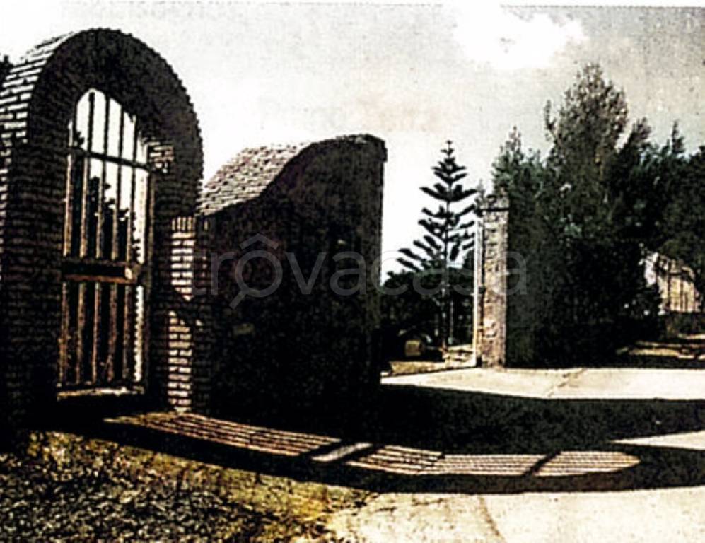 immagine annuncio 4 di 14