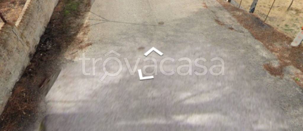 immagine annuncio 12 di 14