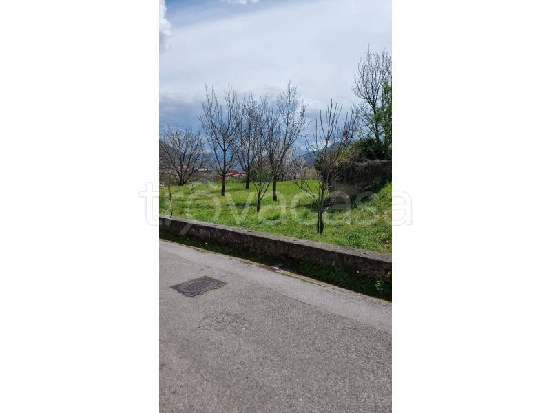 immagine annuncio 4 di 14