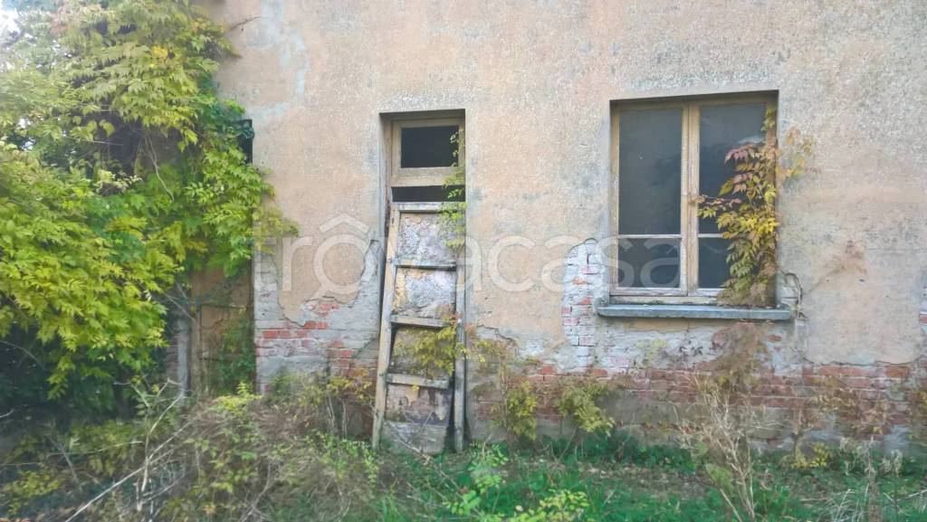 immagine annuncio 2 di 7