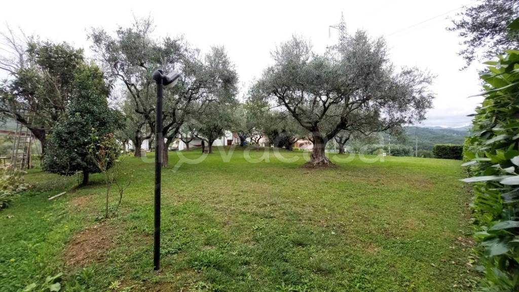 immagine annuncio 5 di 14