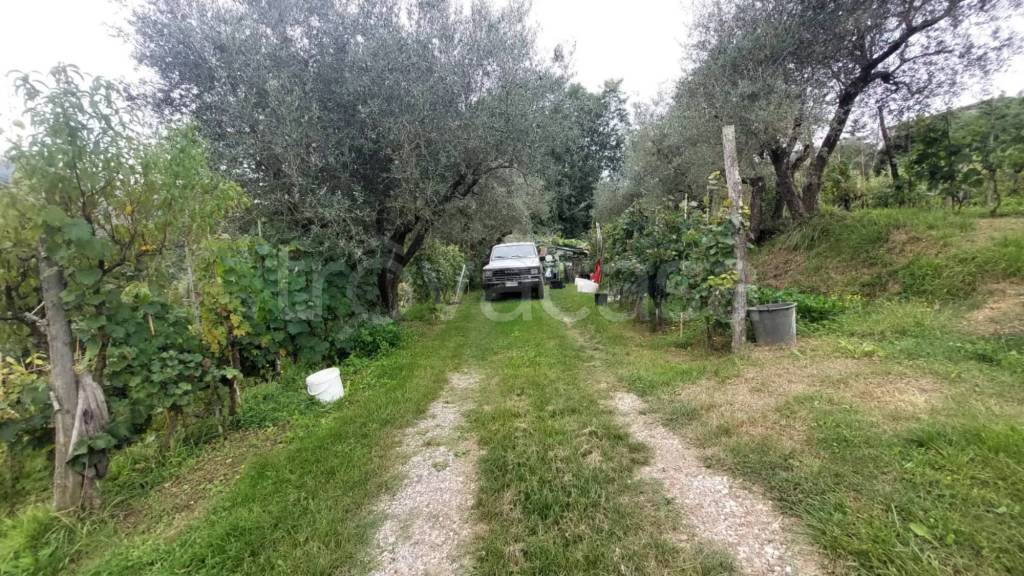 immagine annuncio 12 di 14