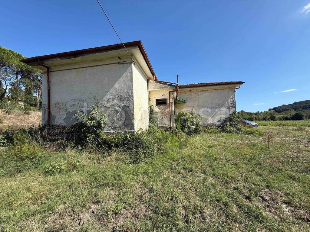 immagine annuncio 2 di 13