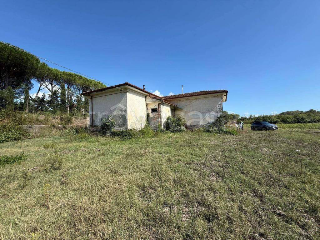 immagine annuncio 6 di 13