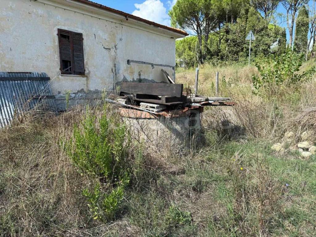 immagine annuncio 11 di 13