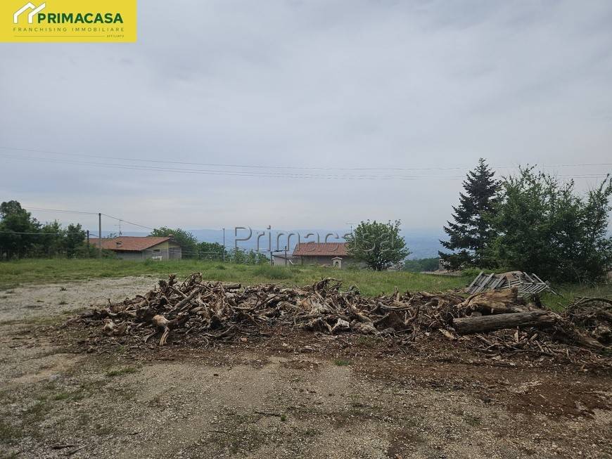 immagine annuncio 5 di 7