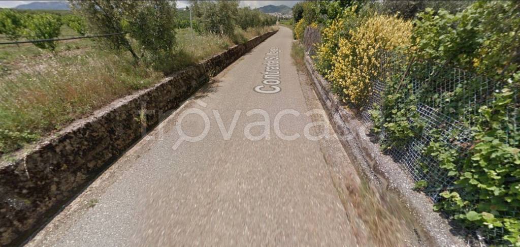 immagine annuncio 10 di 13