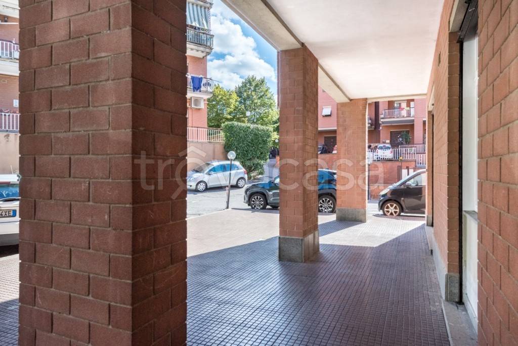 immagine annuncio 11 di 14