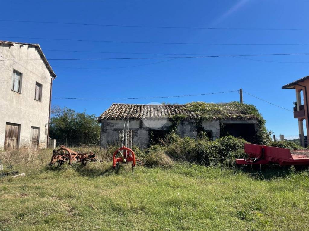 immagine annuncio 1 di 14