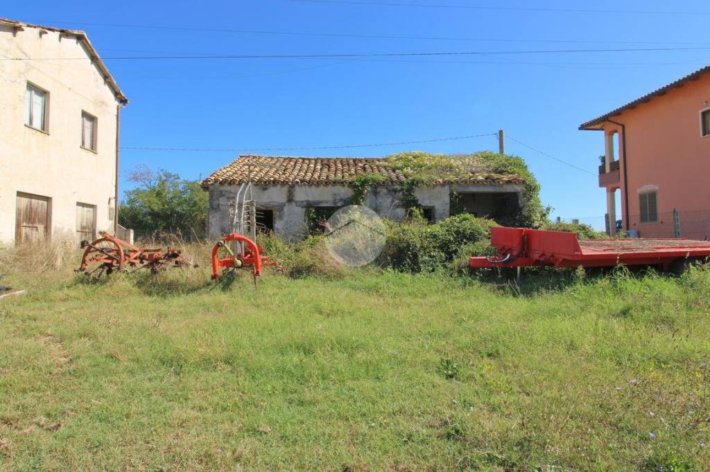 immagine annuncio 5 di 14