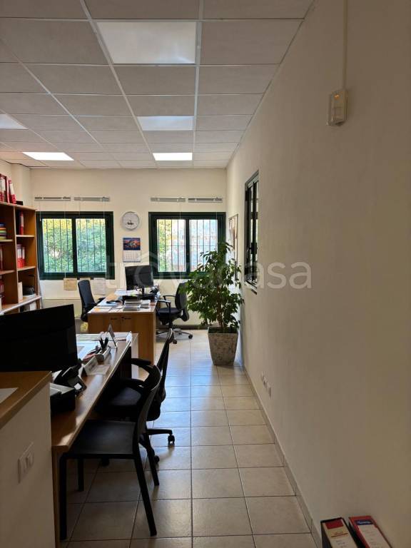 immagine annuncio 5 di 6
