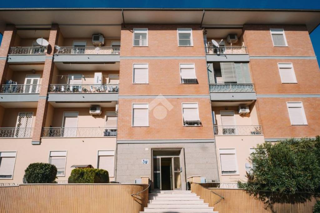 immagine annuncio 11 di 12