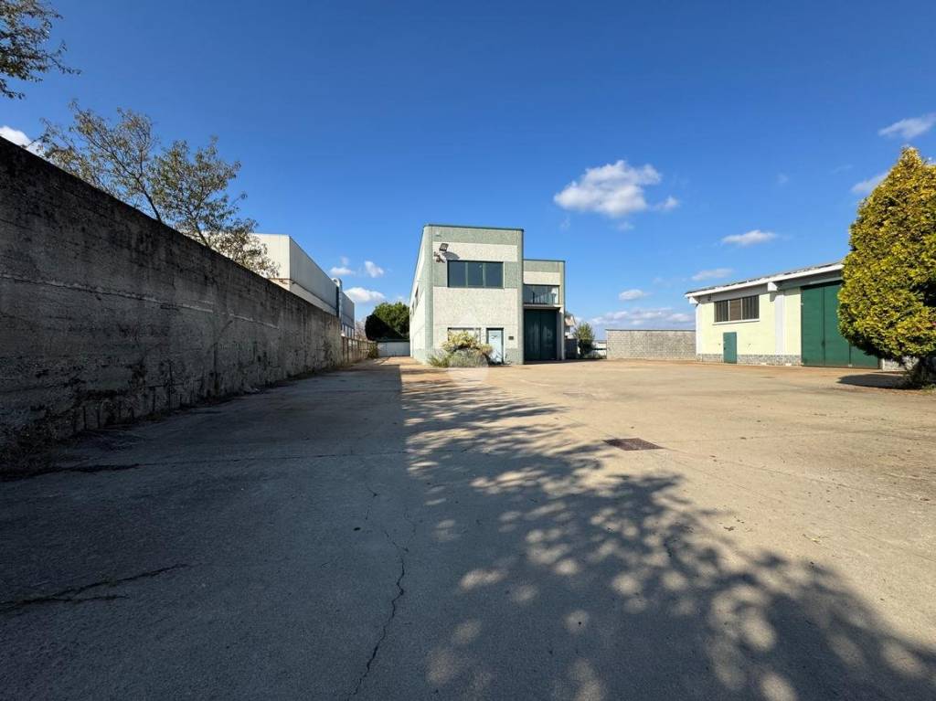 immagine annuncio 1 di 15