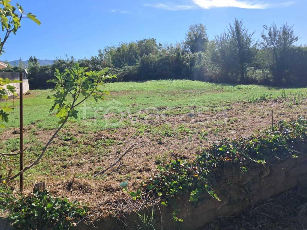 immagine annuncio 1 di 6