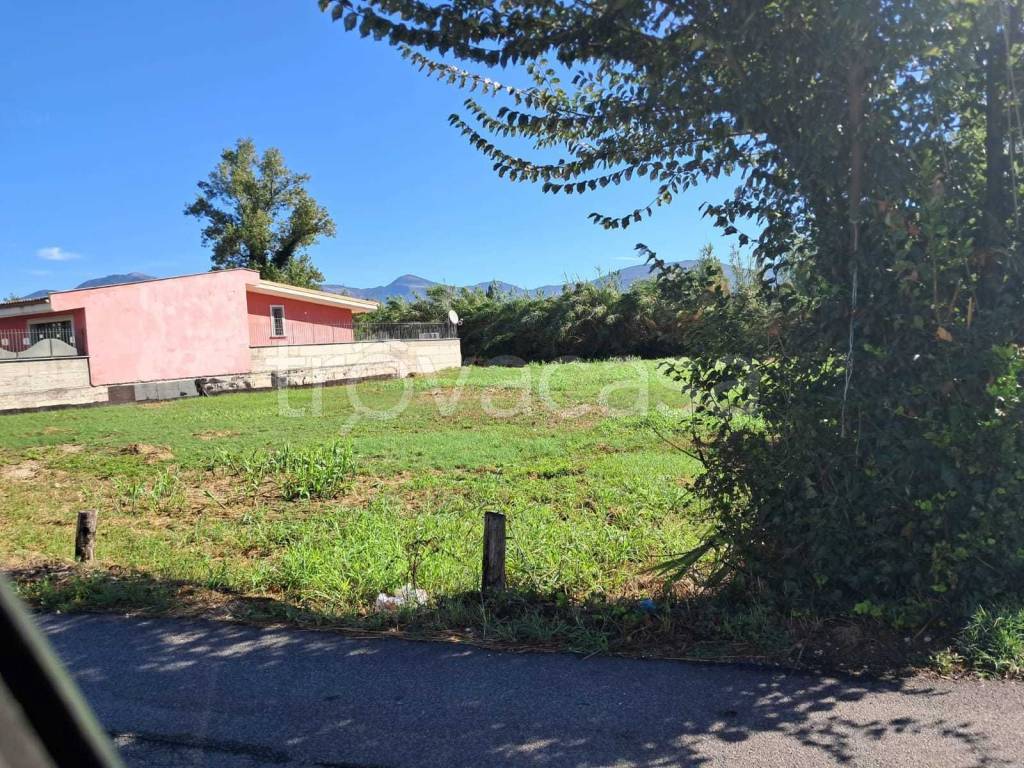 immagine annuncio 2 di 6