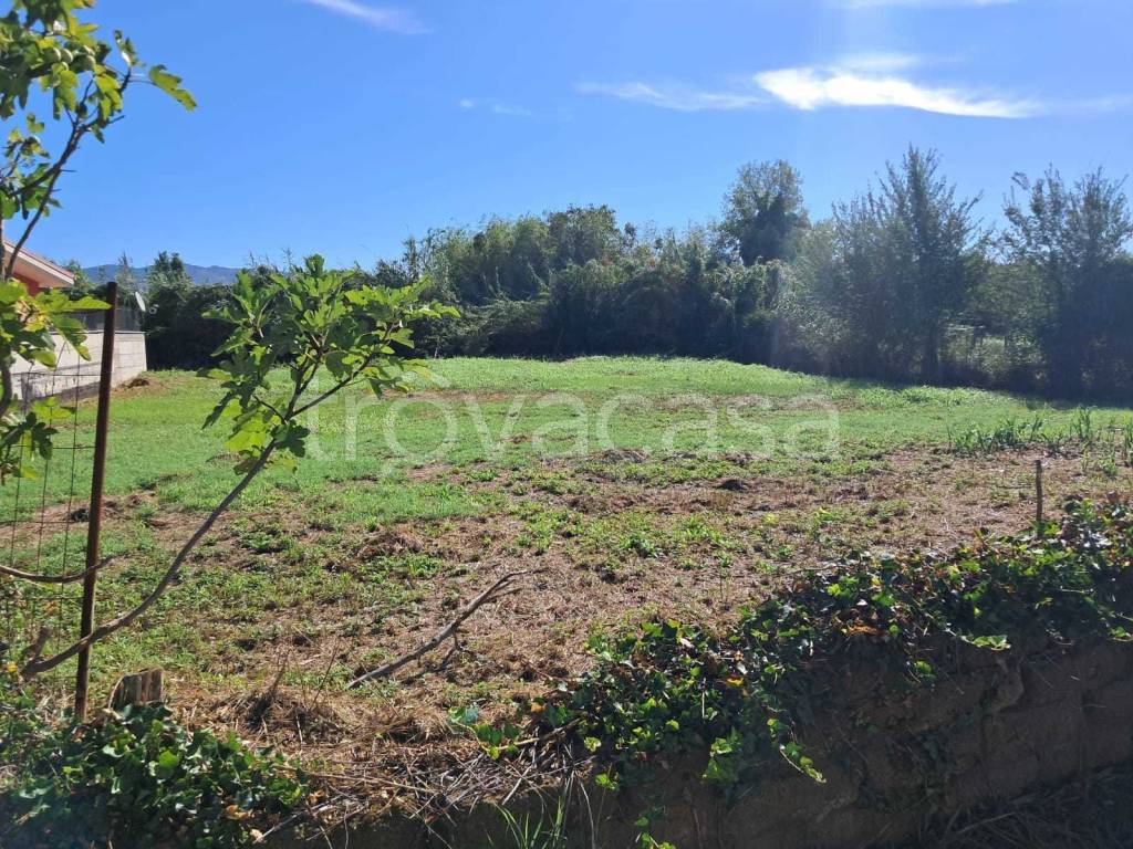 immagine annuncio 3 di 6