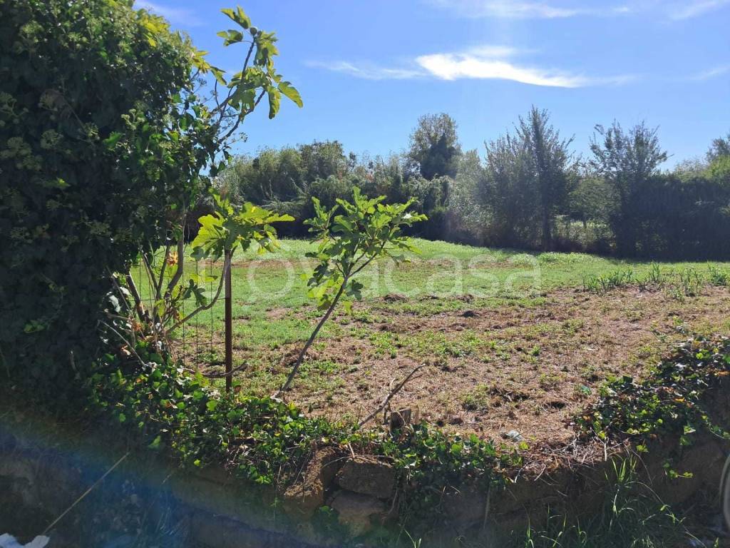 immagine annuncio 4 di 6