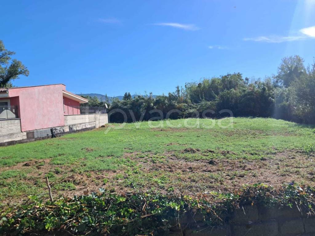 immagine annuncio 5 di 6