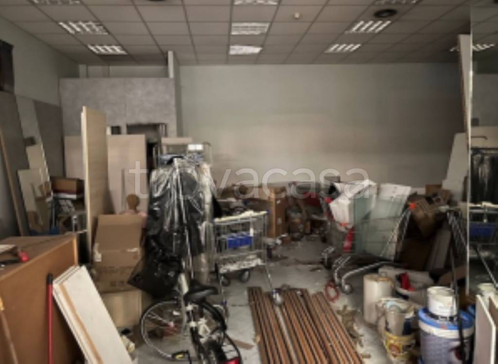 immagine annuncio 5 di 11