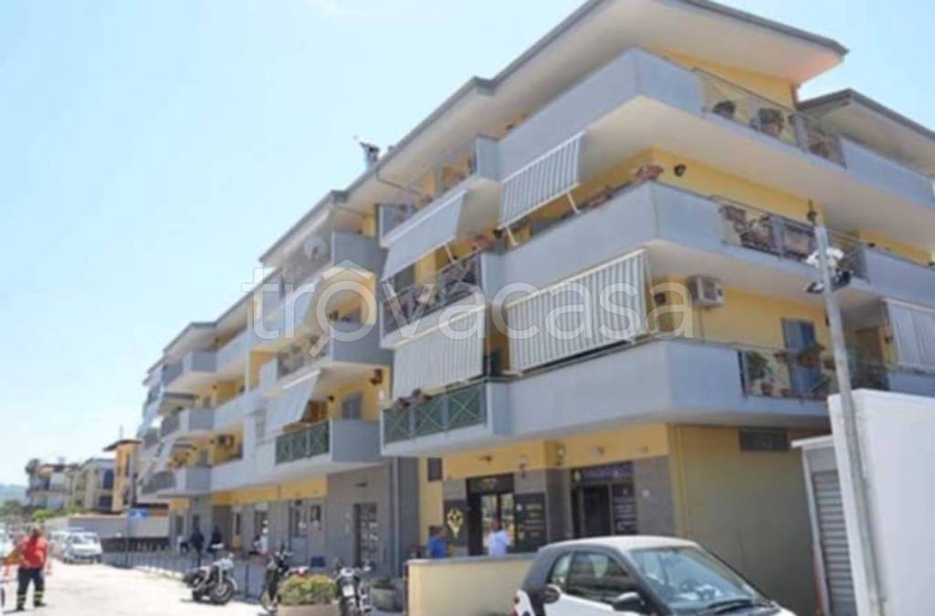 immagine annuncio 9 di 12