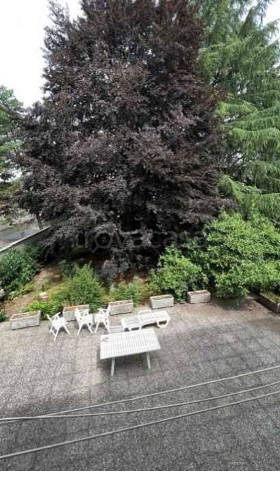 immagine annuncio 5 di 12