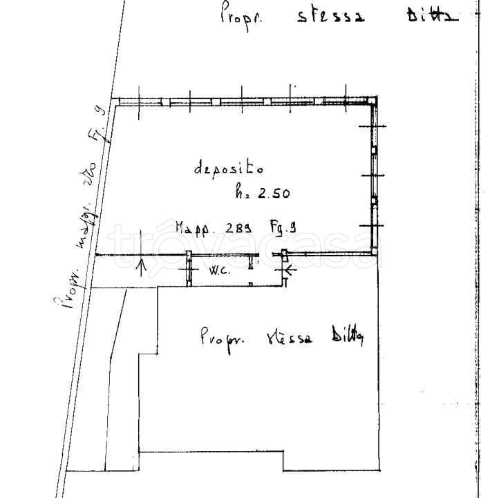 immagine annuncio 11 di 12