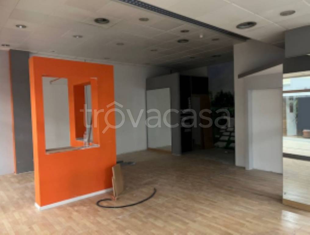 immagine annuncio 5 di 12