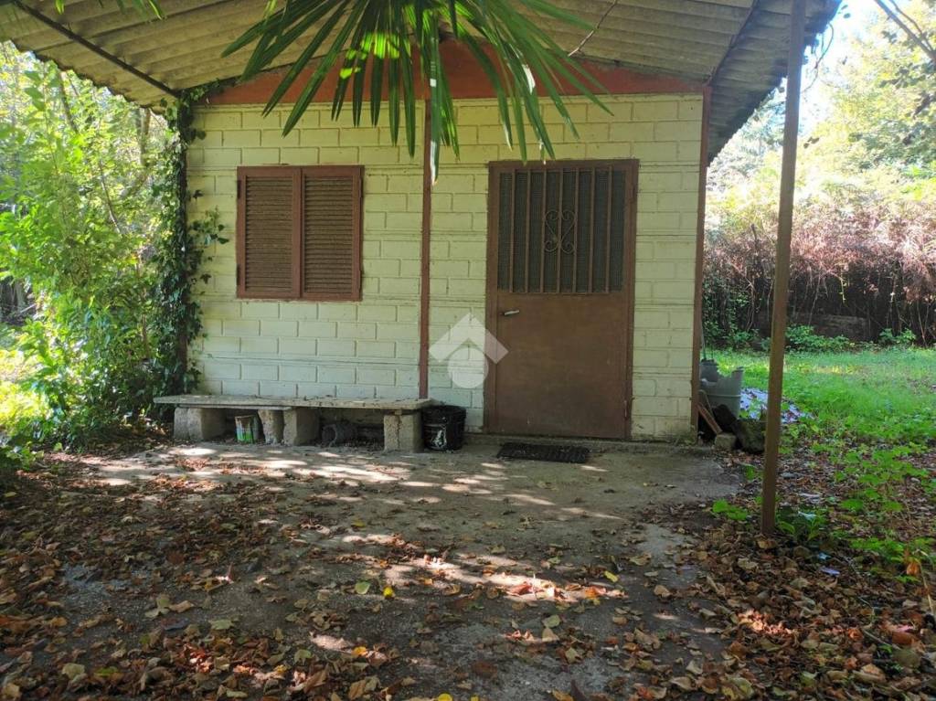 immagine annuncio 1 di 7