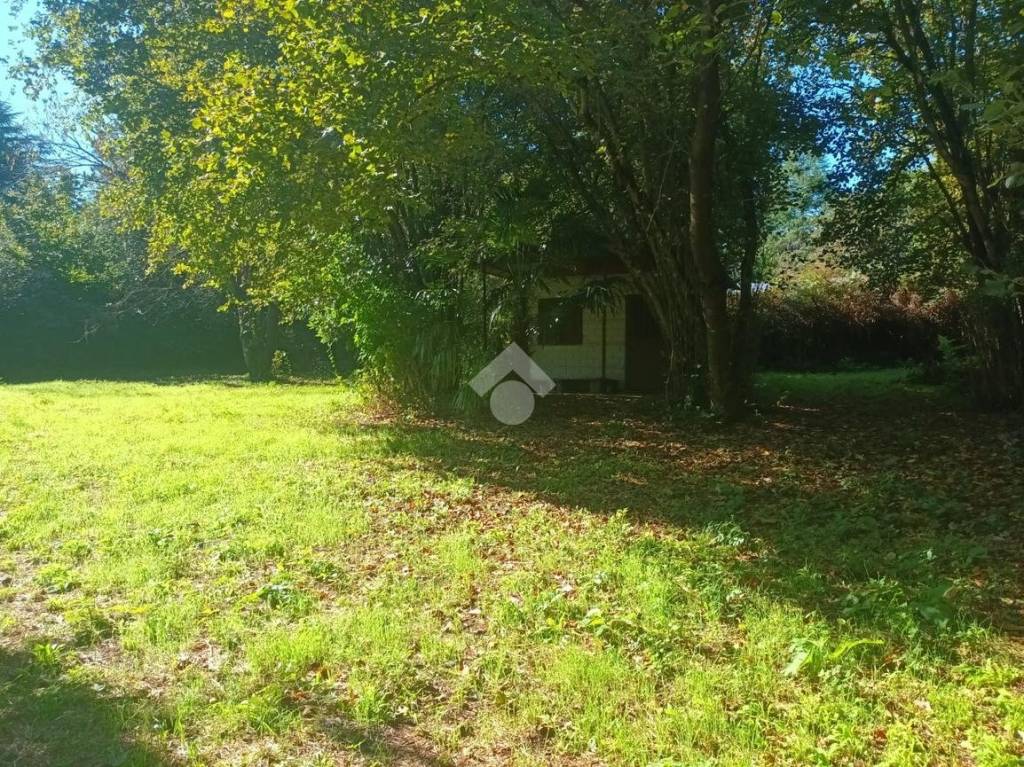 immagine annuncio 5 di 7