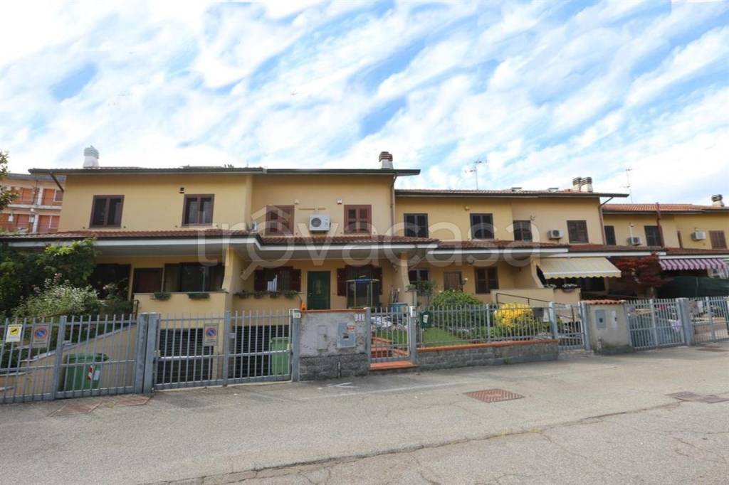 immagine annuncio 2 di 15