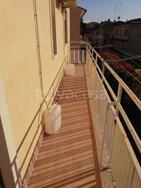 immagine annuncio 4 di 11