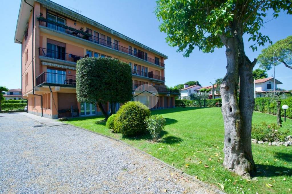 immagine annuncio 9 di 14