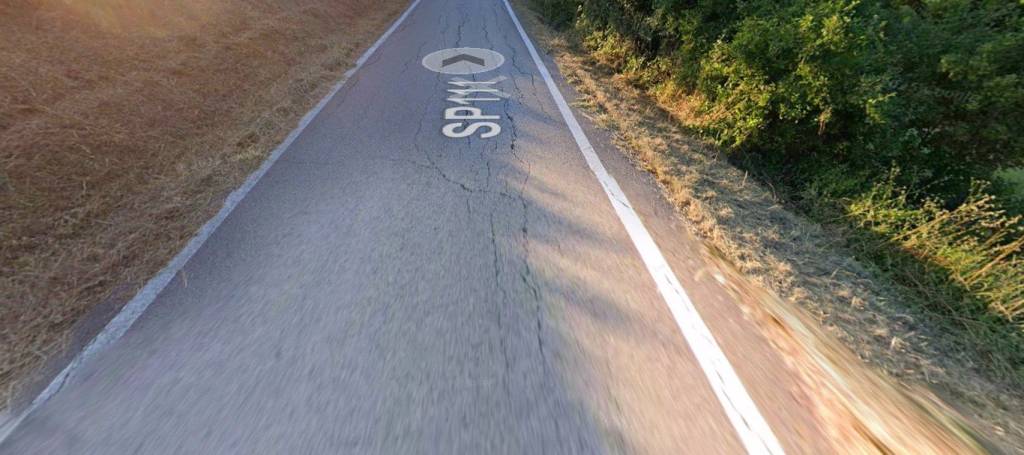 immagine annuncio 2 di 11