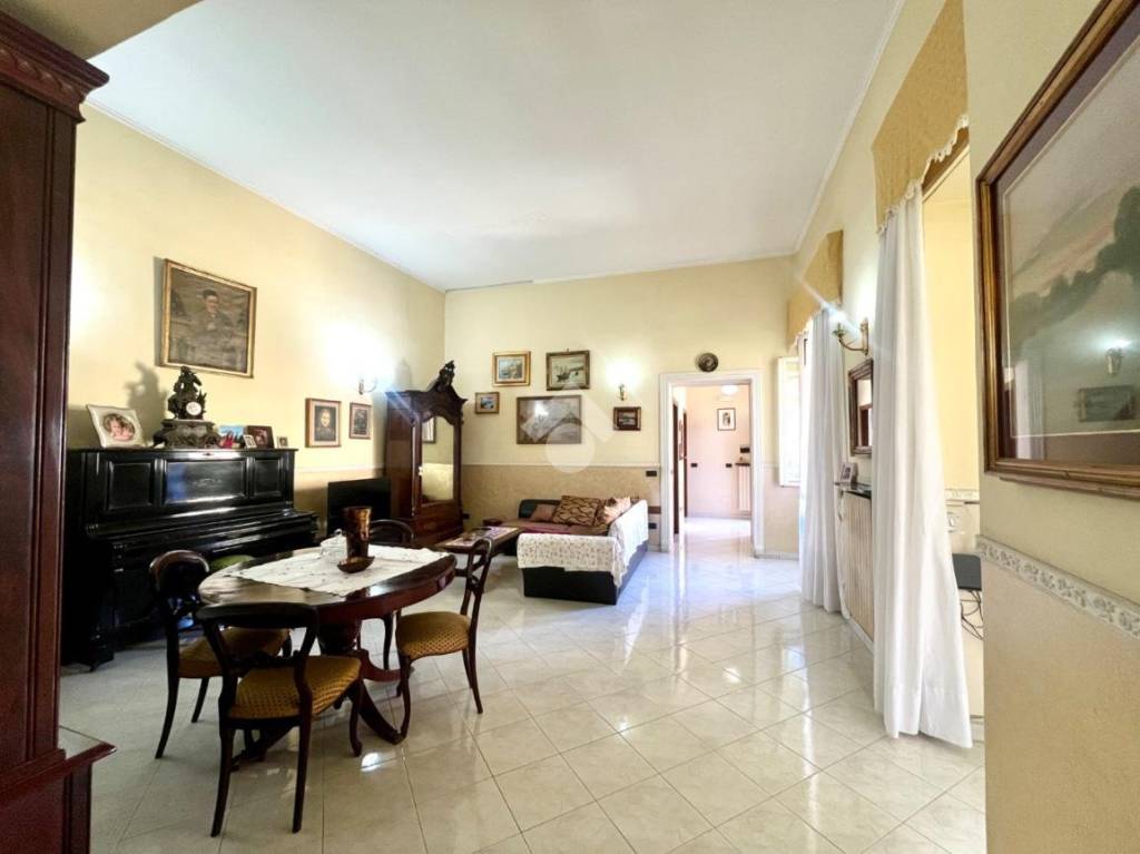 immagine annuncio 3 di 14