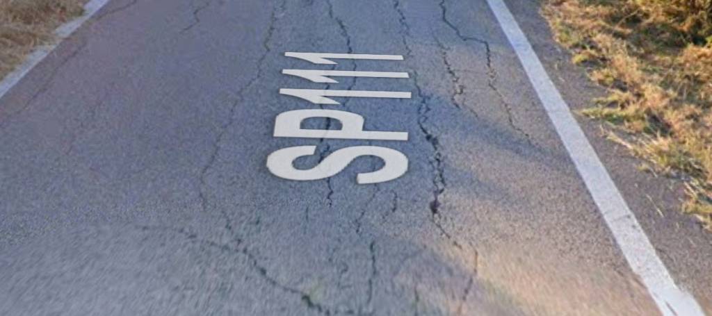 immagine annuncio 5 di 11